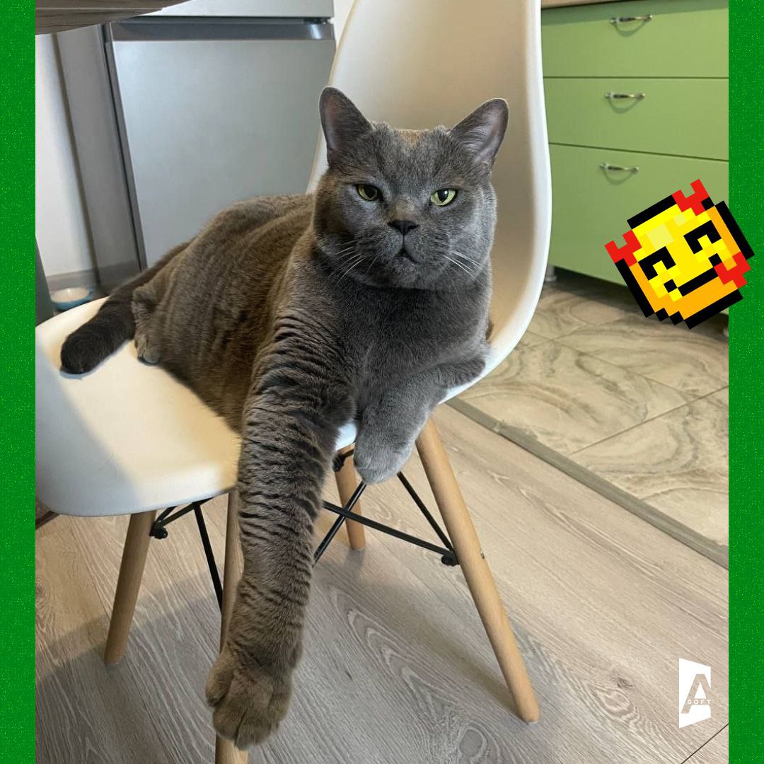 Та-дам, сегодня запускаем постоянную рубрику: #Зверопятница! 🐾
Знакомьтесь с пушистыми (и не очень, но сегодня очень) питомцами наших сотрудников! 🐈 | Сетка — социальная сеть от hh.ru