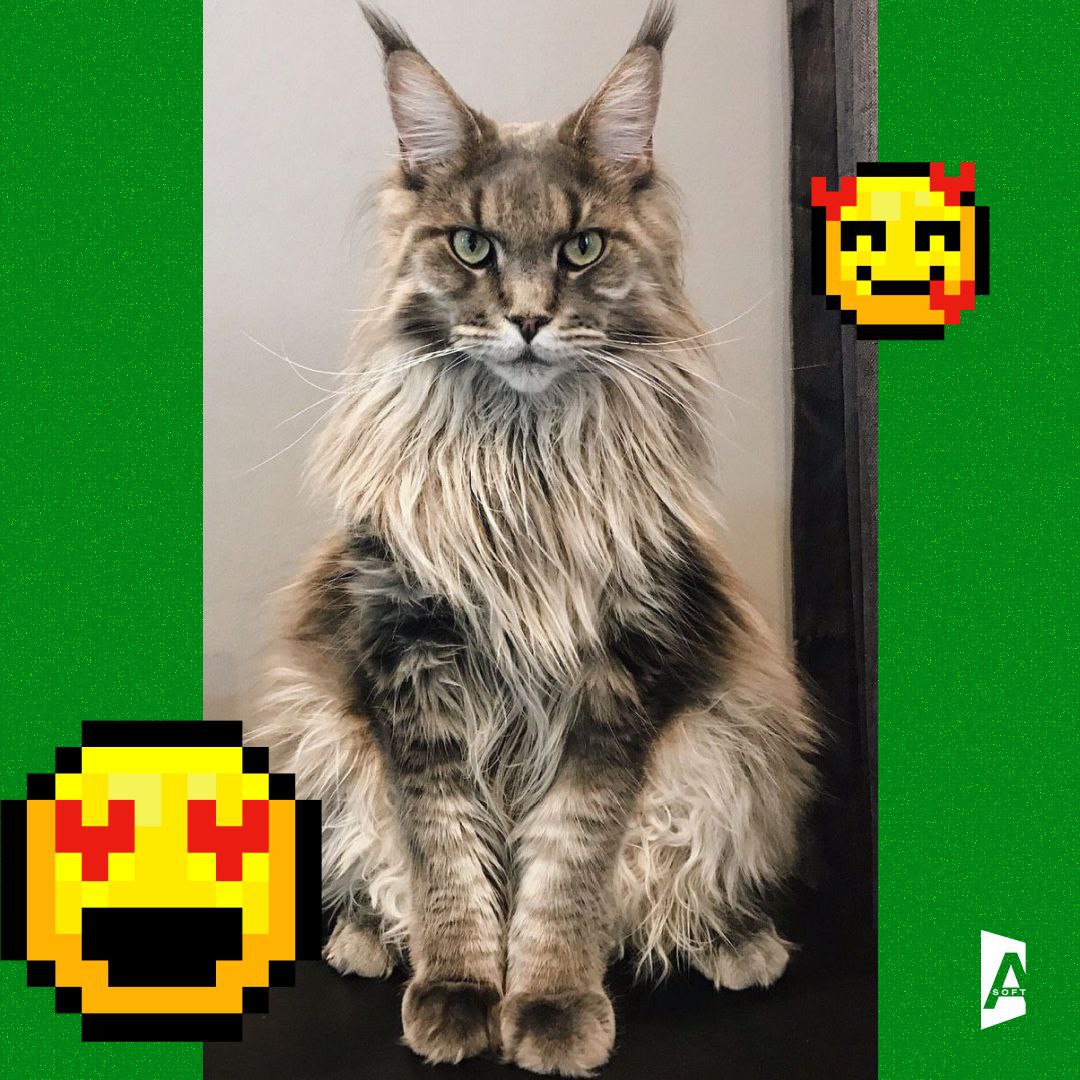 Та-дам, сегодня запускаем постоянную рубрику: #Зверопятница! 🐾
Знакомьтесь с пушистыми (и не очень, но сегодня очень) питомцами наших сотрудников! 🐈 | Сетка — социальная сеть от hh.ru