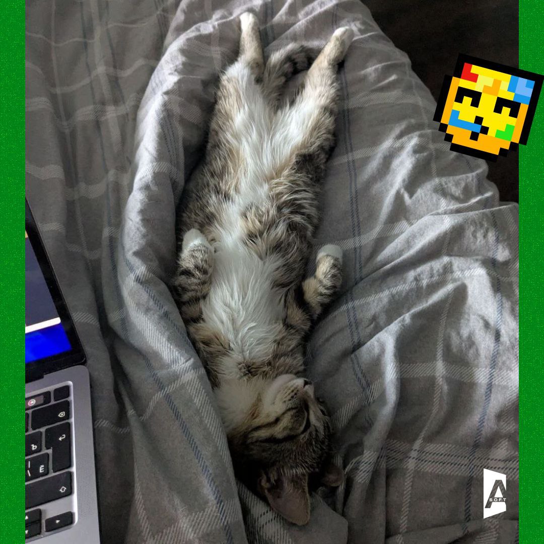 Та-дам, сегодня запускаем постоянную рубрику: #Зверопятница! 🐾
Знакомьтесь с пушистыми (и не очень, но сегодня очень) питомцами наших сотрудников! 🐈 | Сетка — социальная сеть от hh.ru