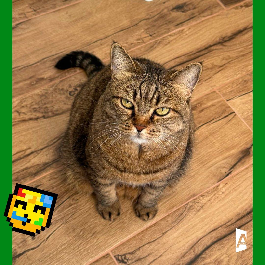 Та-дам, сегодня запускаем постоянную рубрику: #Зверопятница! 🐾
Знакомьтесь с пушистыми (и не очень, но сегодня очень) питомцами наших сотрудников! 🐈 | Сетка — социальная сеть от hh.ru