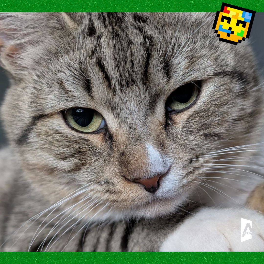 Та-дам, сегодня запускаем постоянную рубрику: #Зверопятница! 🐾
Знакомьтесь с пушистыми (и не очень, но сегодня очень) питомцами наших сотрудников! 🐈 | Сетка — социальная сеть от hh.ru