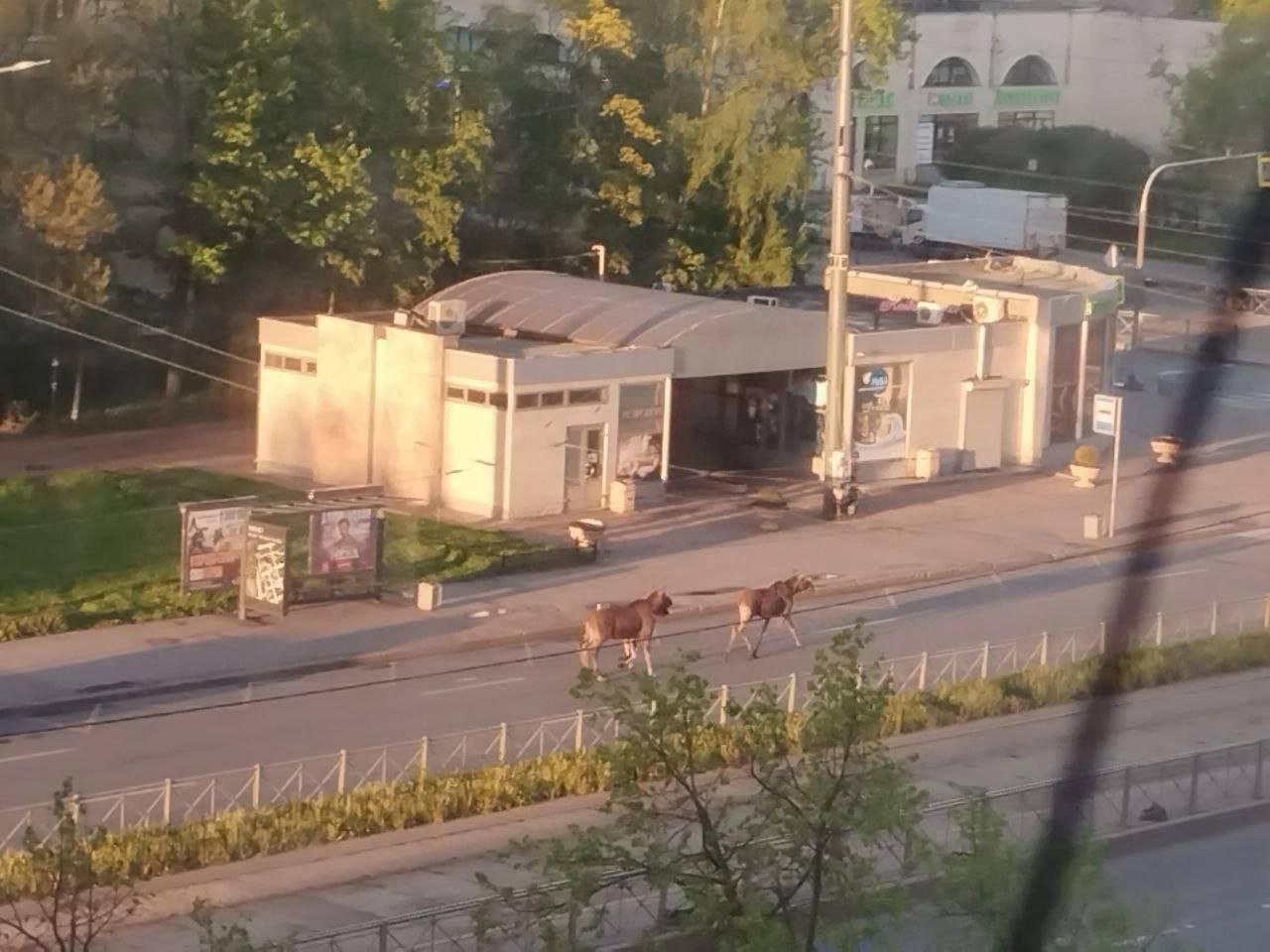 Хотела написать что-то умное, но пятница сделала своё дело.. | Сетка — социальная сеть от hh.ru