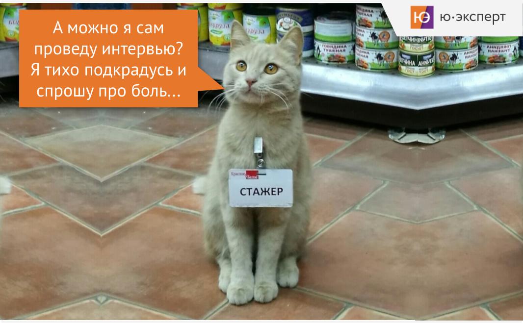 😹 Немного юмора перед выходными... | Сетка — социальная сеть от hh.ru