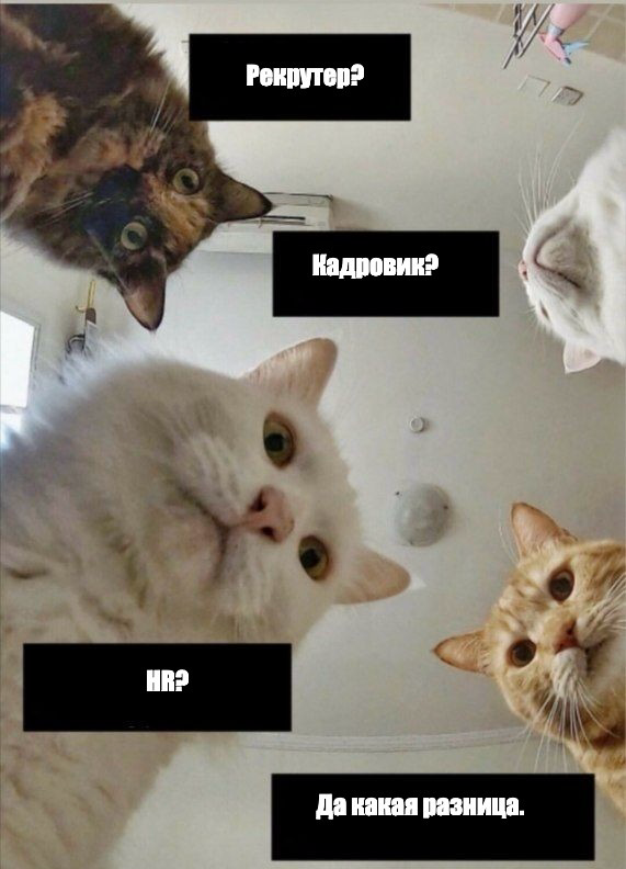 День кадрового работника 👩🏽‍💻 | Сетка — социальная сеть от hh.ru