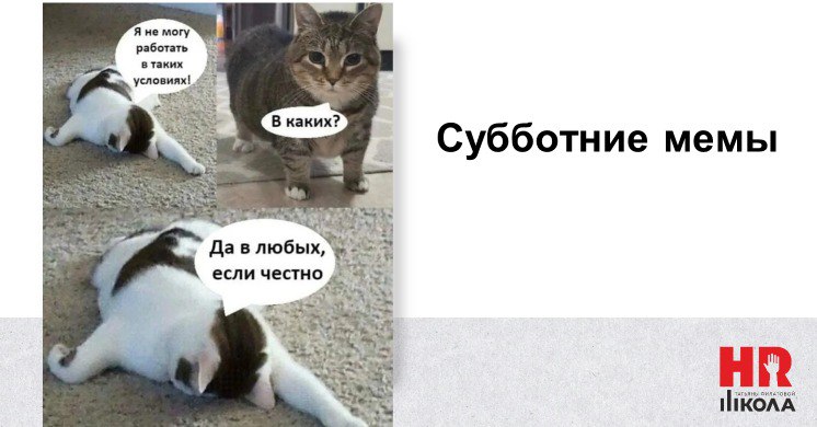 Доброго субботнего утра! Хотя сегодня в Сибири особенно сильно хочется шутить про погоду | Сетка — социальная сеть от hh.ru