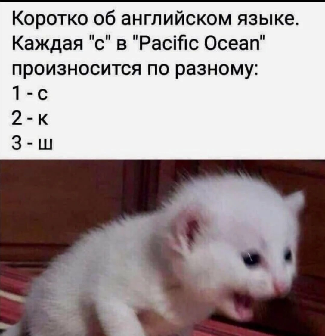 🙂 Да и как этот английский учить?
Через наш бот: https://t.me/MerlinUchiBot?start=channel | Сетка — социальная сеть от hh.ru