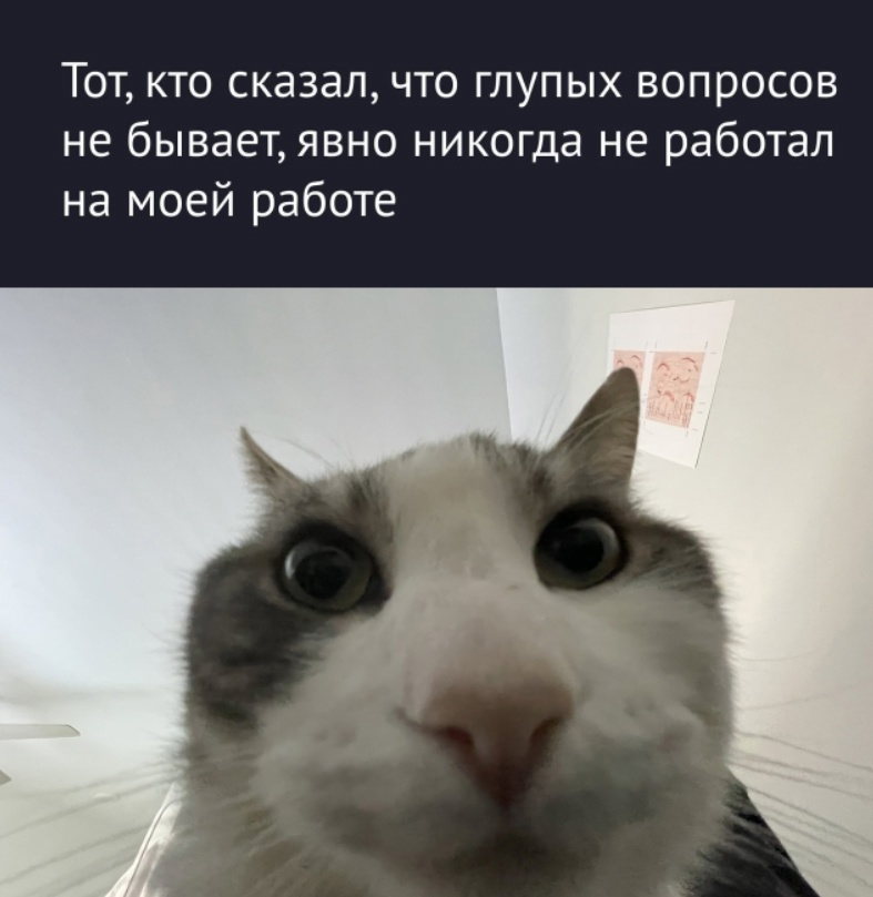 У вас какие самые глупые вопросы на работе ? | Сетка — социальная сеть от hh.ru