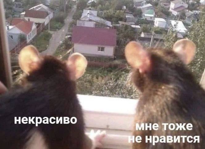 Держитесь за единомышленников
#мемы | Сетка — социальная сеть от hh.ru
