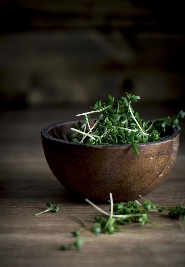 🥬  МИКРОЗЕЛЕНЬ: ПРИПРАВИТЬ СОЛЬЮ ПЕРЕД ТЕМ, КАК СОРВАТЬ ВОЛНУ ВКУСА, — ДЕРЗКАЯ ВОЛЬНОСТЬ ИЛИ КУЛИНАРНАЯ НЕОБХОДИМОСТЬ?🌿
КОРОТКИЙ ОТВЕТ: ДА, МОЖНО! Но зачем? 🤔 Соль может придать микрозелени интересный... | Сетка — социальная сеть от hh.ru