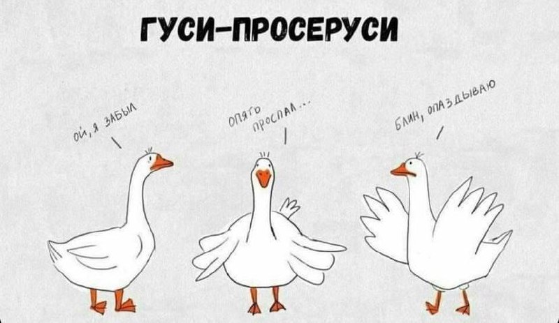 Я обычно 2-ой))а вы какой? | Сетка — социальная сеть от hh.ru