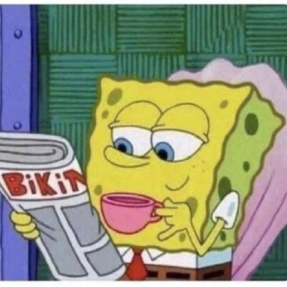 ДИРЕКТОР ПО МЕМАМ