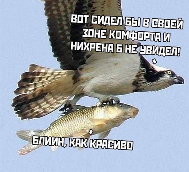 Выход из зоны комфорта — азарт или стресс?
Мы с коллегами недавно разгоняли про выход из зоны комфорта | Сетка — социальная сеть от hh.ru