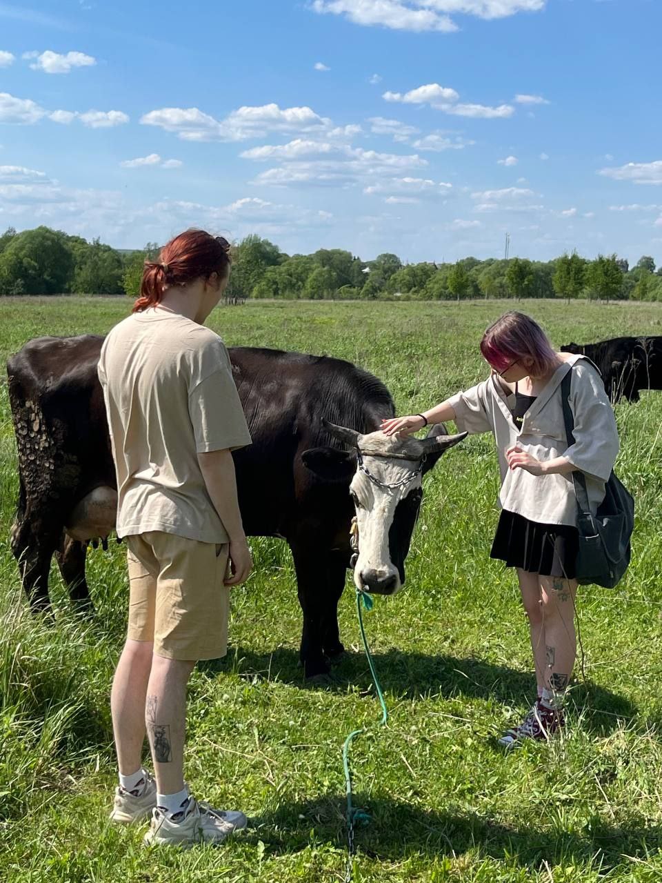 Сегодня у нас была лëгкая прогулочка на 23к шагов 🤩 | Сетка — социальная сеть от hh.ru