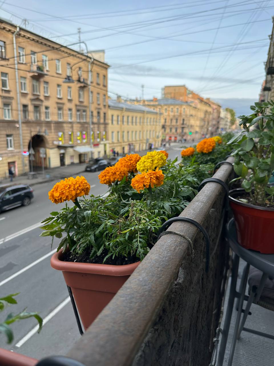 Балконий вайп, центр Санкт-Петербурга)))
ГотовимсЯ к недельке, p.s. завтра у мужа выходной, у него День Рождения) | Сетка — социальная сеть от hh.ru