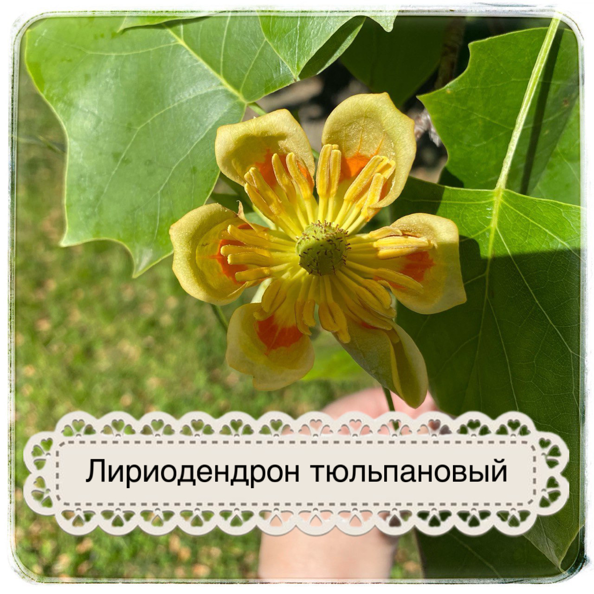 Спикер о слушателях | Сетка — социальная сеть от hh.ru