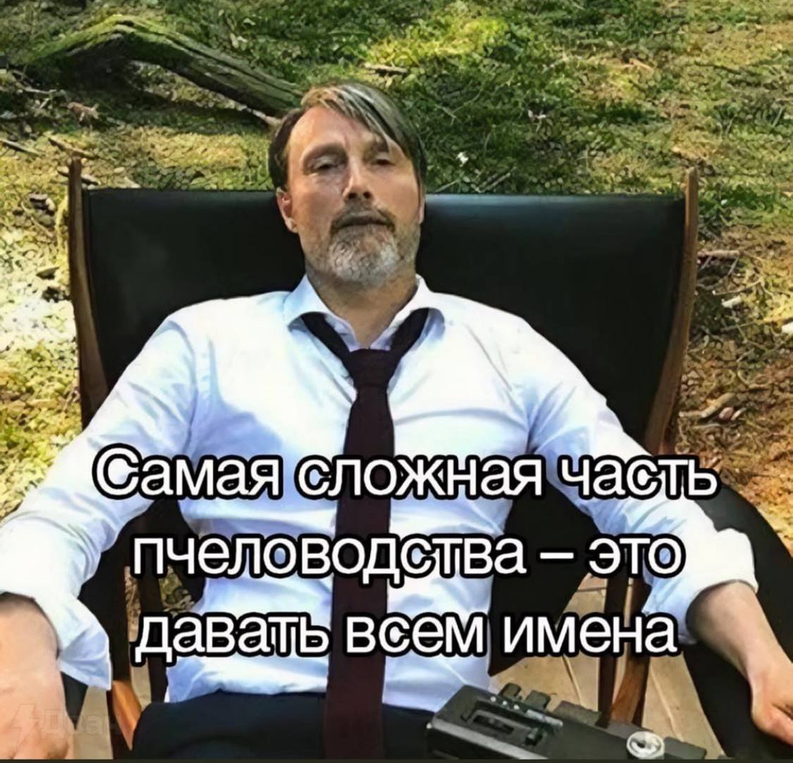 Всем 👋 привет
С понедельником в нашем Улее ! Как всегда на неделю сделали вам кучу полезностей, чтобы вы не ждали только вакансии 😅😅 | Сетка — социальная сеть от hh.ru