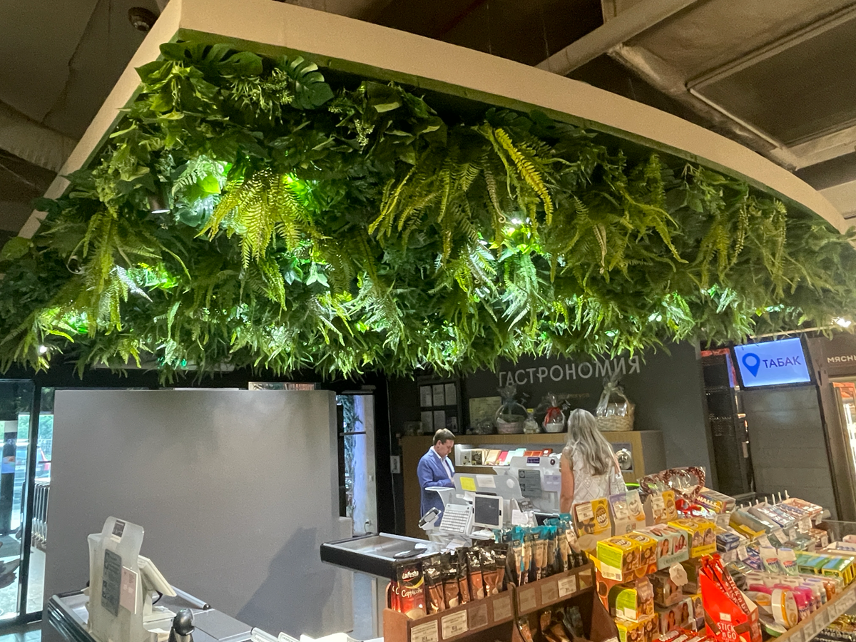 Запуск новой сети. Из практики. | Сетка — социальная сеть от hh.ru