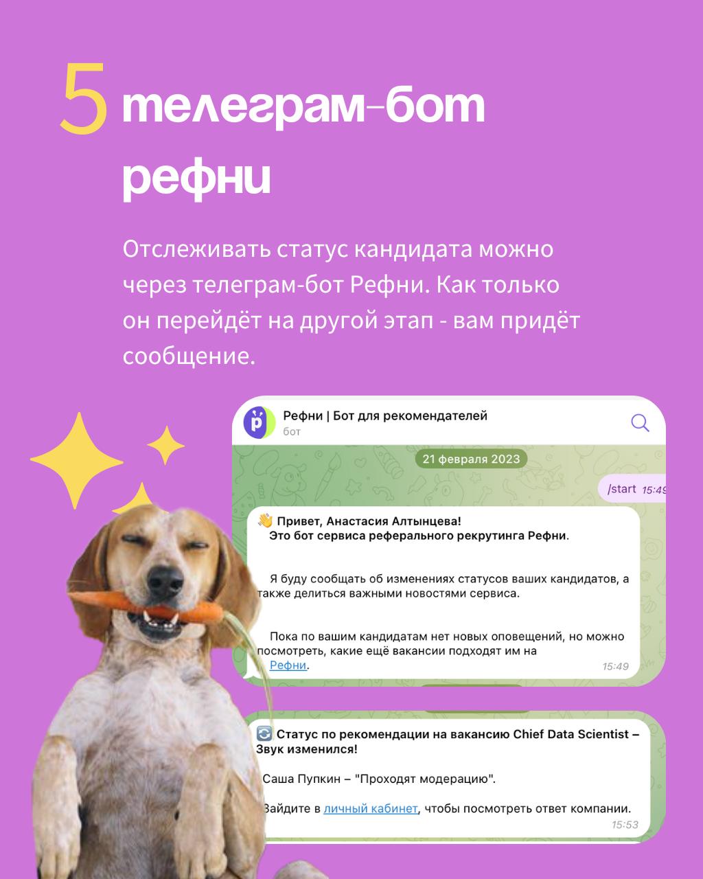 😬Давненько мы не рассказывали о том, как легко рекомендовать кандидатов на Рефни — и получать за это бонусы | Сетка — социальная сеть от hh.ru