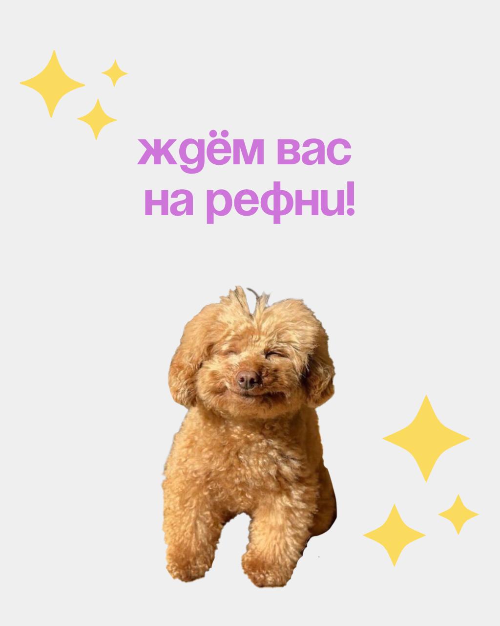 😬Давненько мы не рассказывали о том, как легко рекомендовать кандидатов на Рефни — и получать за это бонусы | Сетка — социальная сеть от hh.ru