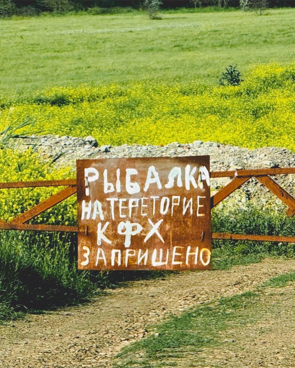 А так хателась, очинь жаль 😢
📸Лейла Свекольникова | Сетка — социальная сеть от hh.ru