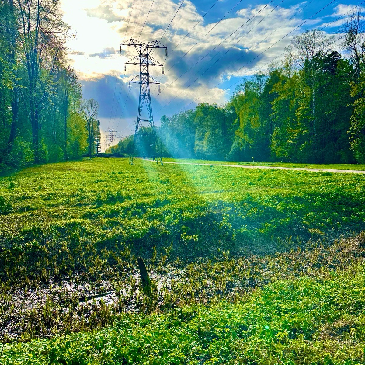 Аршиа Нухи