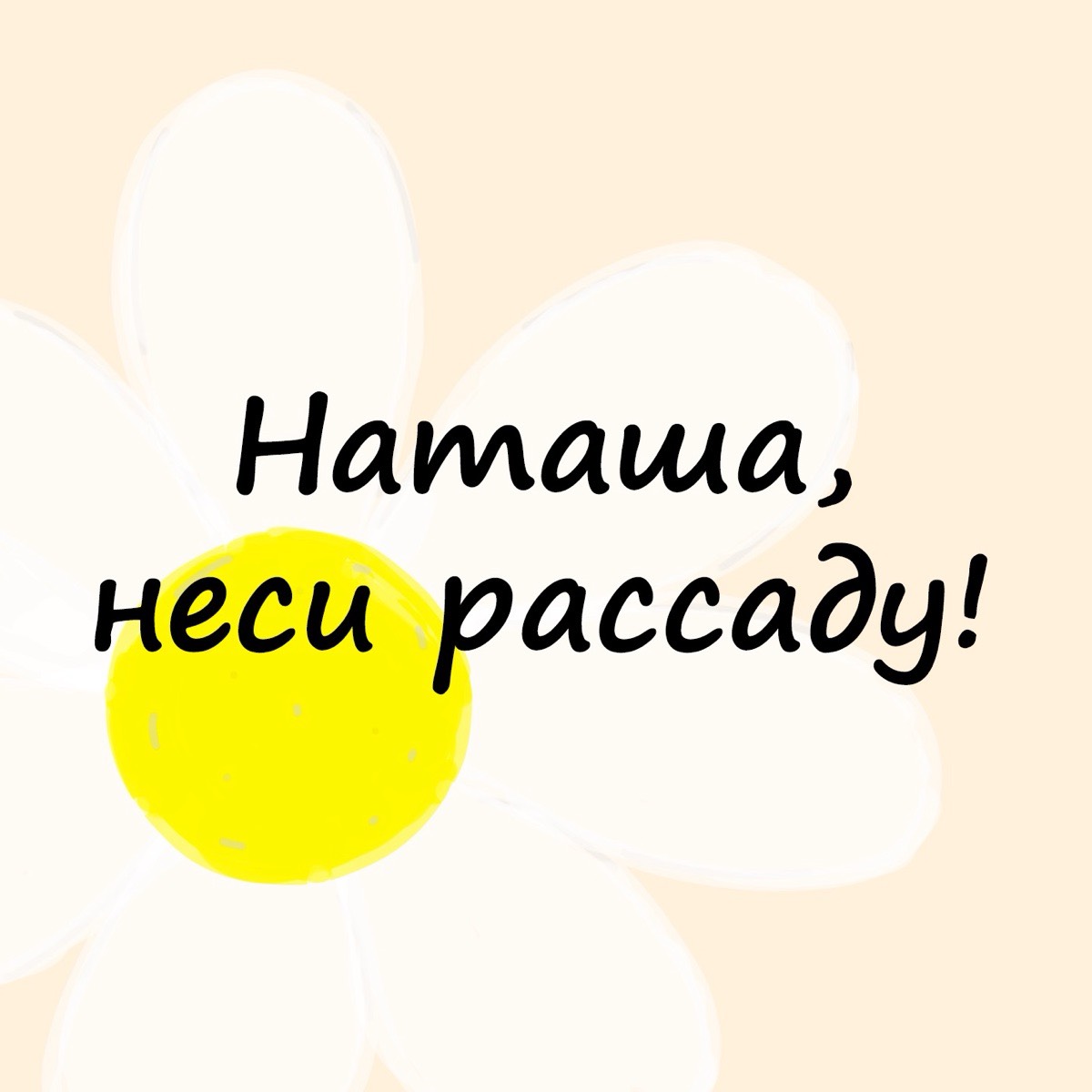 Наташа Неси-Рассаду