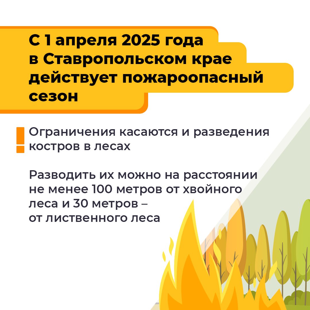 Лесные пожары — основная причина повреждения и гибели лесов
Нарушение требований правил пожарной безопасности в лесу и на участках, к ним примыкающих, преследуется по закону | Сетка — социальная сеть от hh.ru