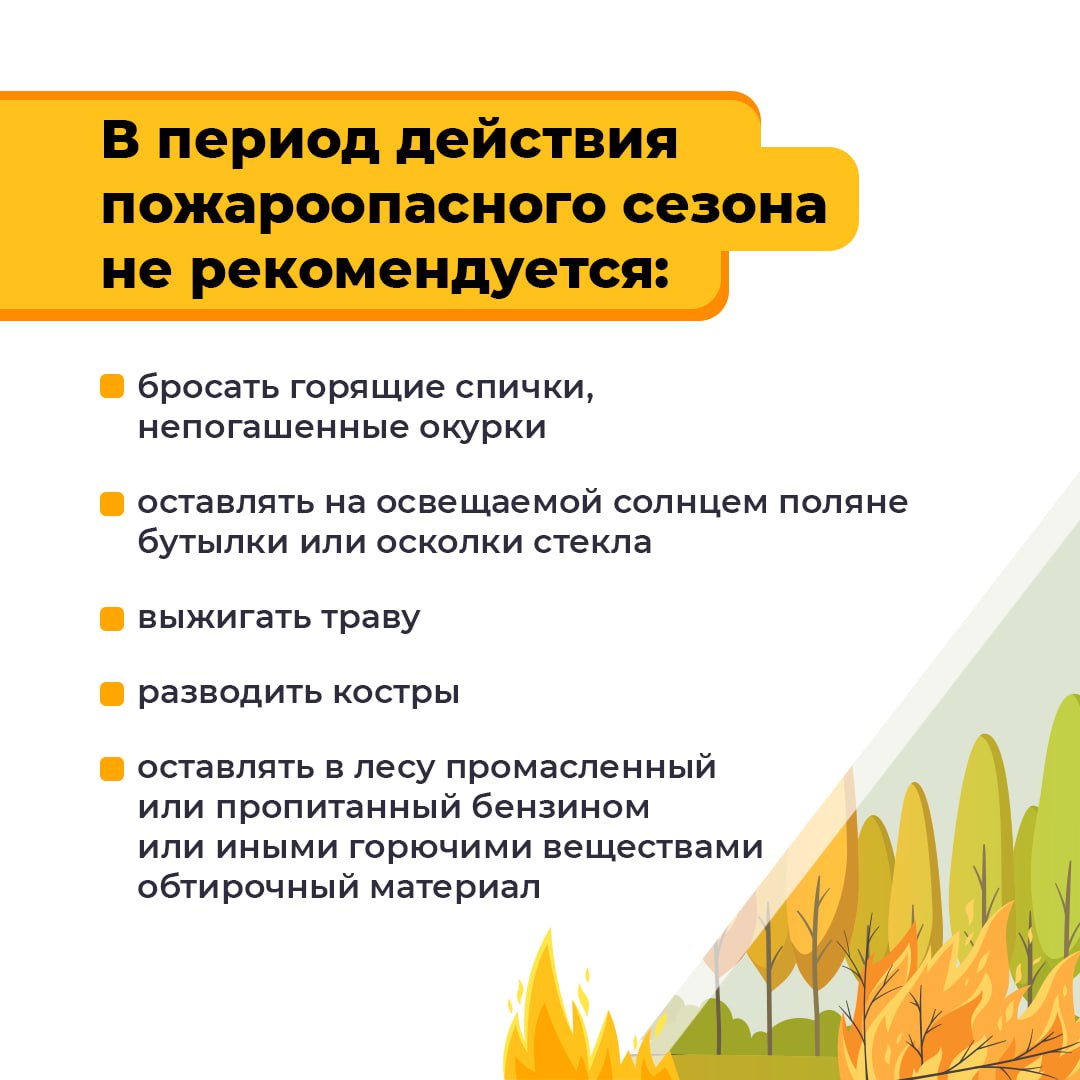 Лесные пожары — основная причина повреждения и гибели лесов
Нарушение требований правил пожарной безопасности в лесу и на участках, к ним примыкающих, преследуется по закону | Сетка — социальная сеть от hh.ru