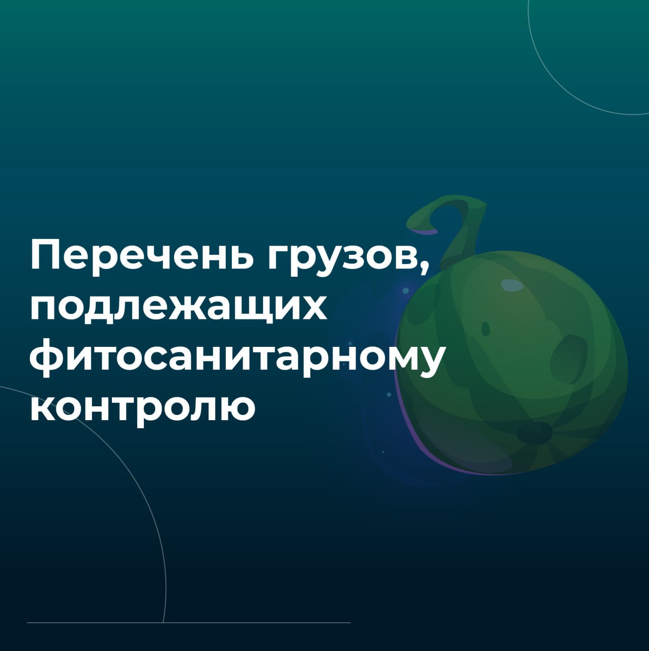 В новом материале мы разбираем:
🔴Какие грузы подлежат обязательному фитоконтролю.
🔴Какие документы необходимы для прохождения таможни | Сетка — социальная сеть от hh.ru