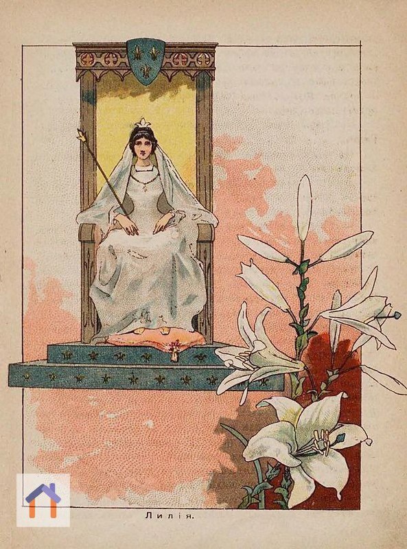 "В царстве цветов" – потрясающе красивая книга издательства И. Д. Сытина, 1901 г. | Сетка — социальная сеть от hh.ru
