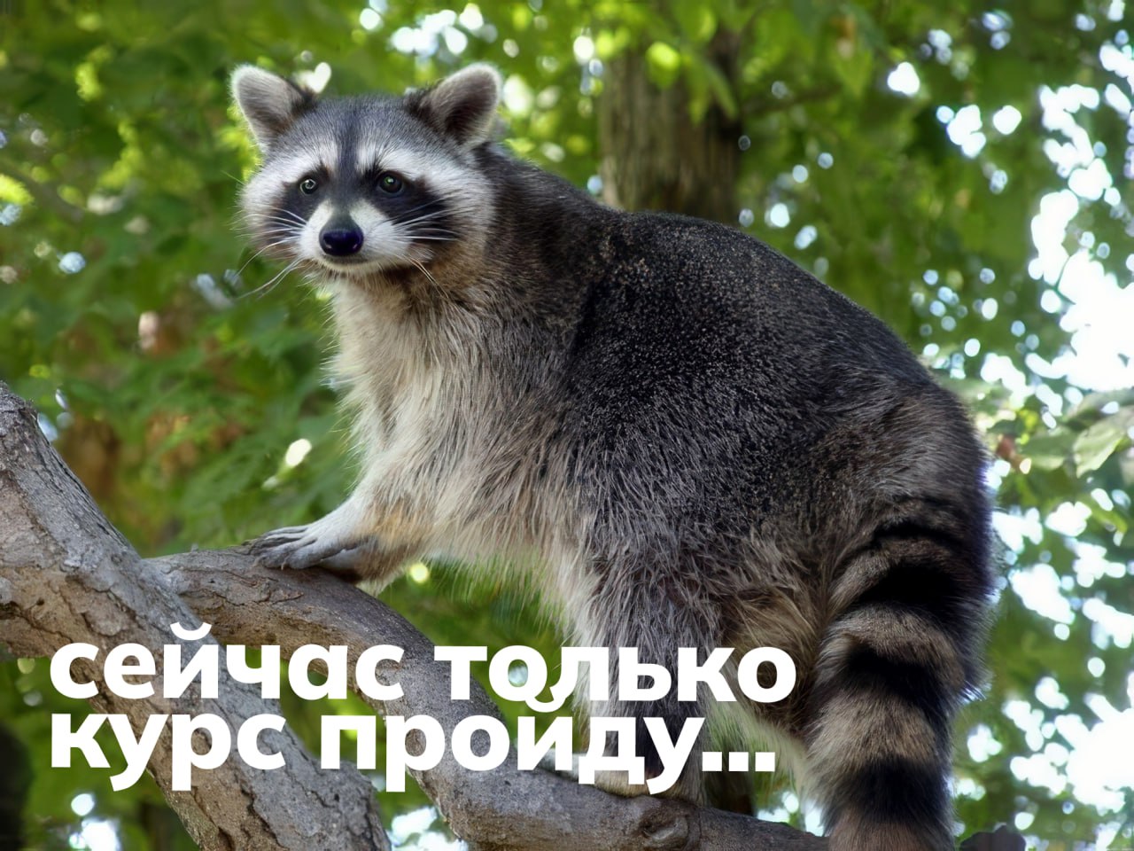 Если вы хотите, чтобы тот самый мальчик или девочка пошли с вами на свидание, вам надо подобрать правильный контекст и позвать их | Сетка — социальная сеть от hh.ru