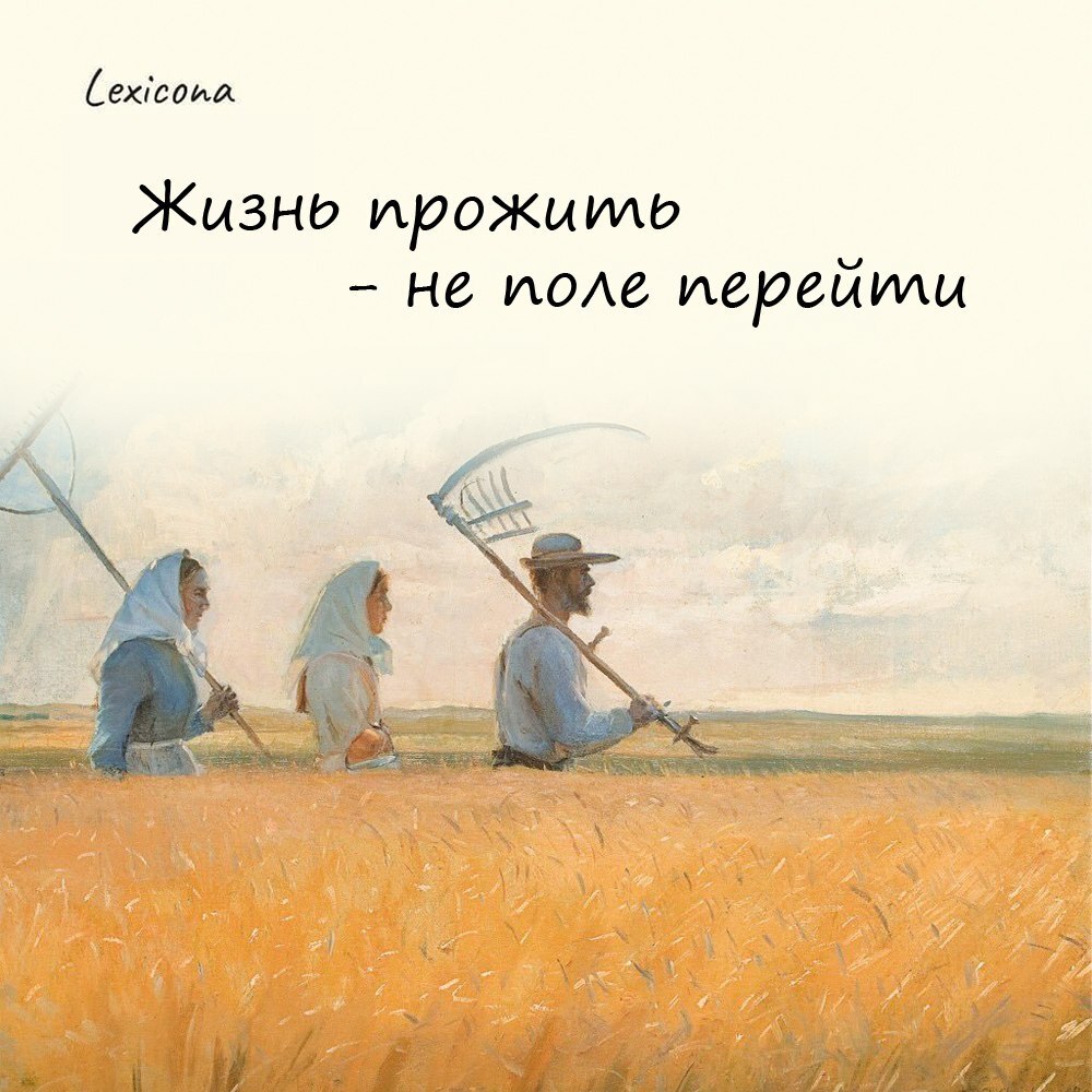 Жизнь прожить – не поле перейти
Эта фраза появилась среди бедных крестьян, которые изо дня в день усердно впахивали на полях и это было для них изнуряющим, но при этом понятным и привычным делом | Сетка — социальная сеть от hh.ru