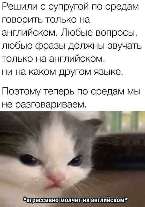 А какой ваш график работы?)
Мемный вторник
#funy | Сетка — социальная сеть от hh.ru