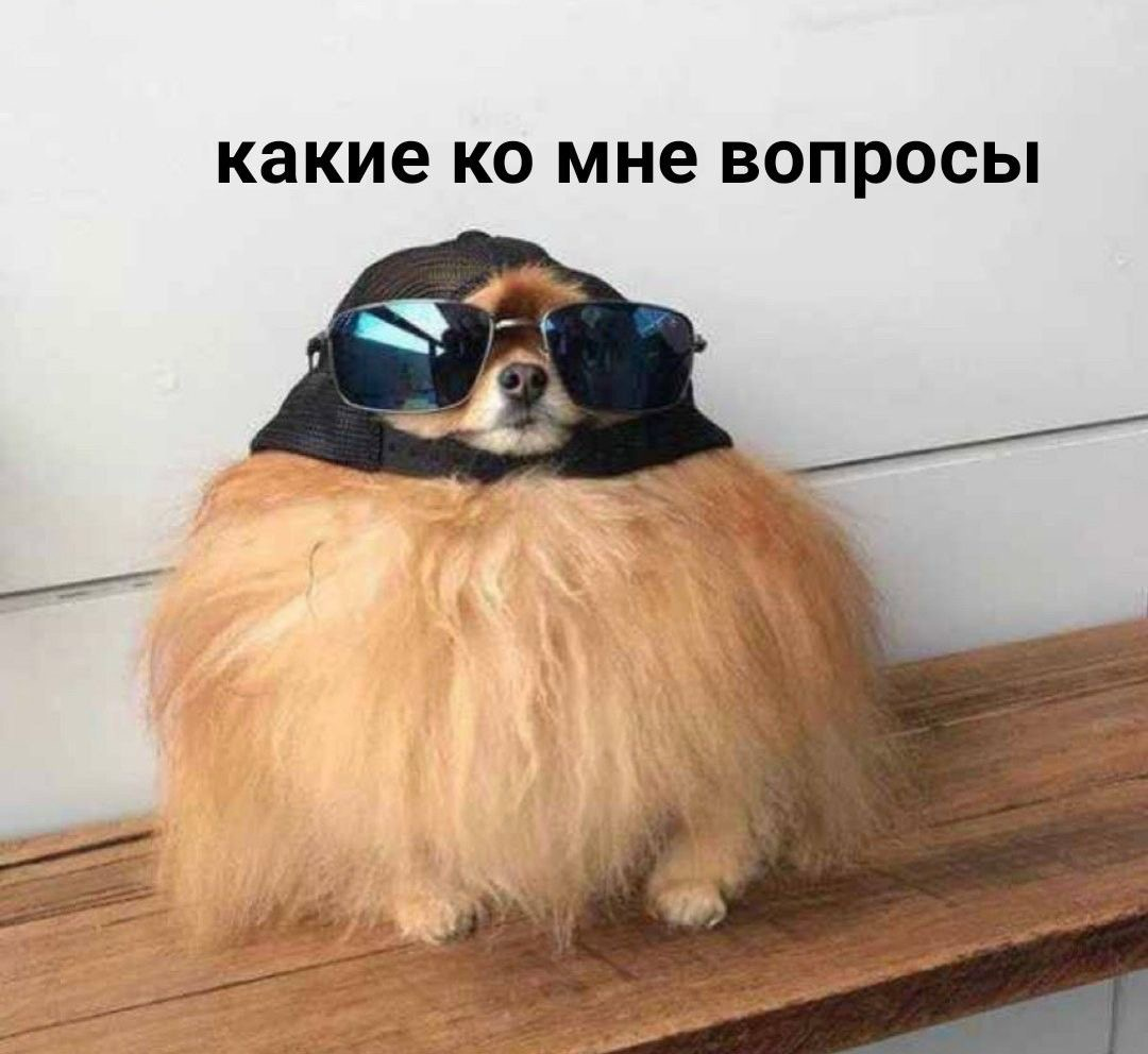 ЧатGPT может анализировать резюме как опытный HR! | Сетка — социальная сеть от hh.ru