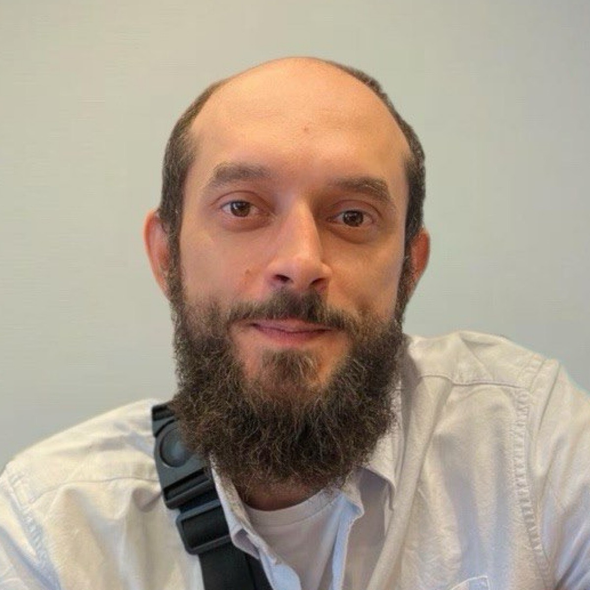 Александр Верещагин