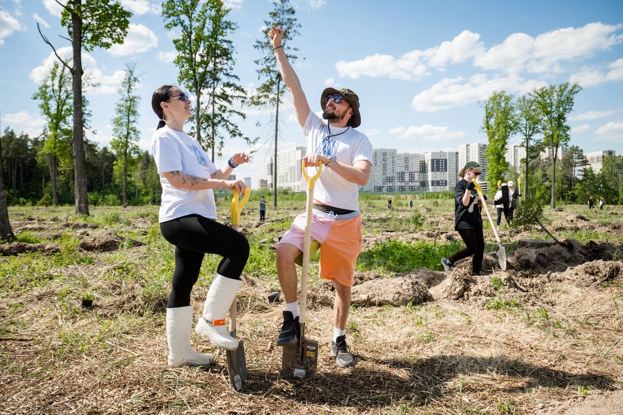 Лесу быть! 🌳💙 | Сетка — социальная сеть от hh.ru