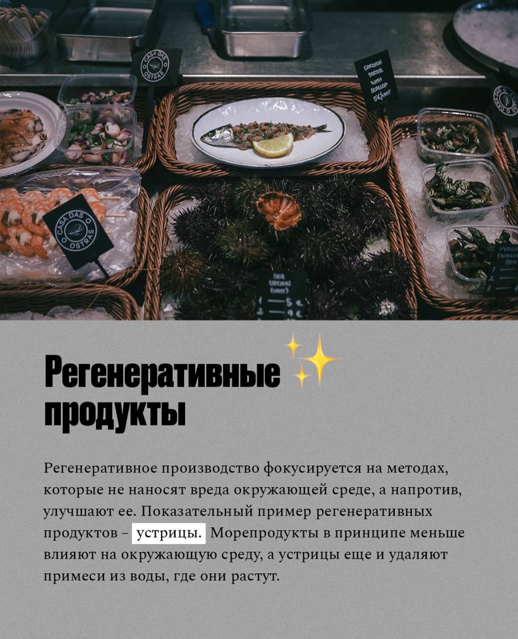 Заметные гастрономические тренды в 2025 году🍴🥩🌭
roomers.ru | Сетка — социальная сеть от hh.ru