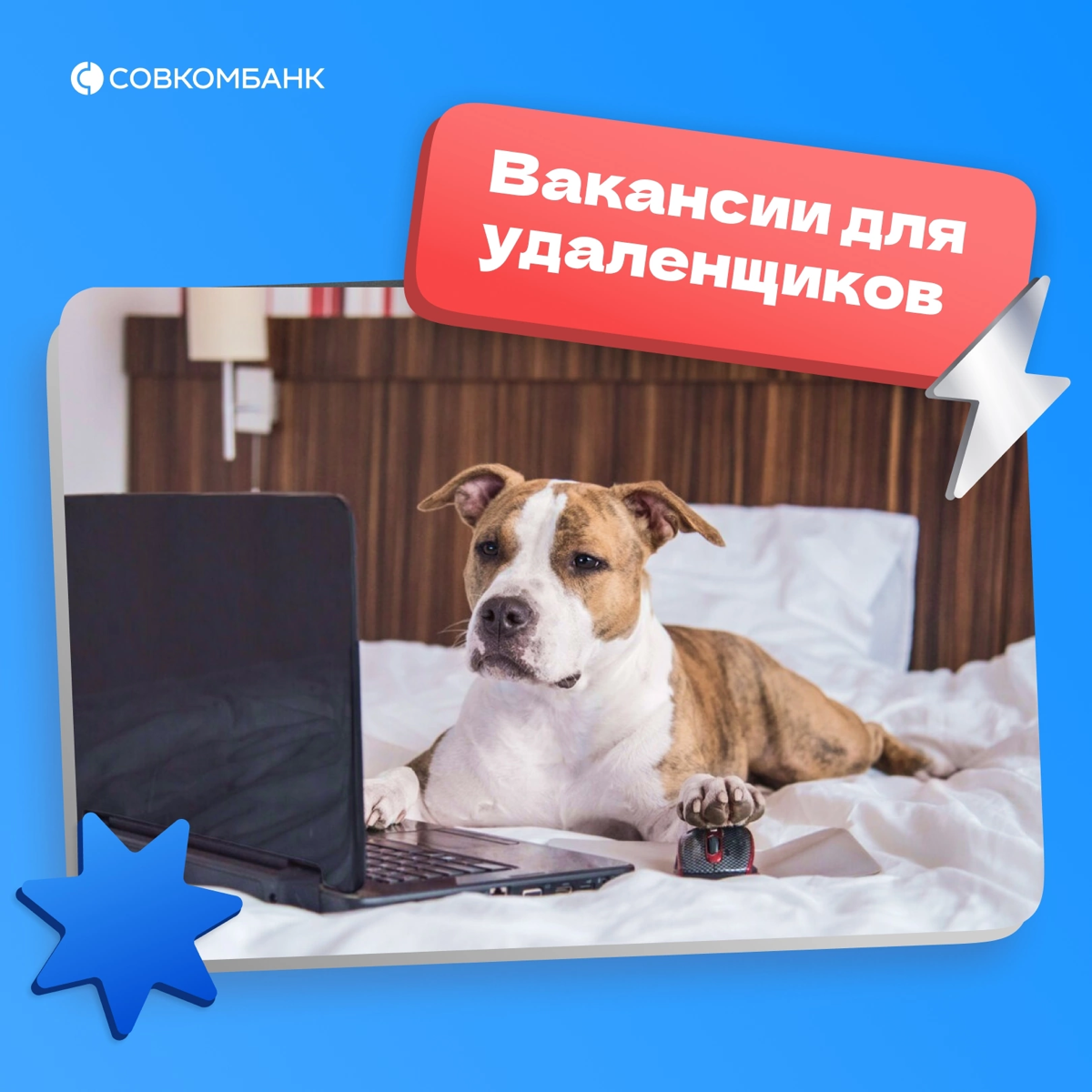 Офис или удалёнка – извечный вопрос 🤔 | Сетка — социальная сеть от hh.ru