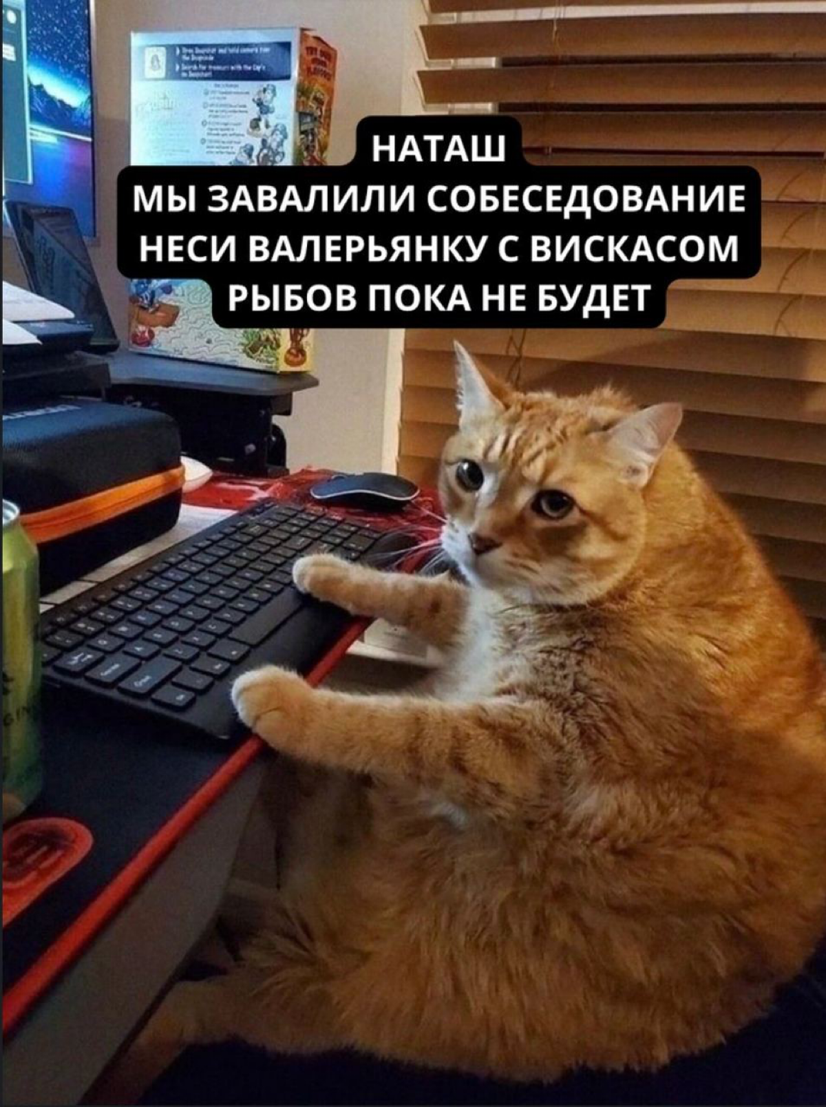 Кто, по-вашему, должен первым писать после собеса? | Сетка — социальная сеть от hh.ru