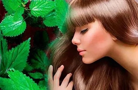 ПРИВЕТ, КРАСОТКИ! 💖
Сегодня говорим о необычном способе ухода за волосами – маска из микрозелени! 🌿 Да-да, вы не ослышались!
Зачем нужна микрозелень в маске для волос?
Микрозелень – это кладезь витами... | Сетка — социальная сеть от hh.ru