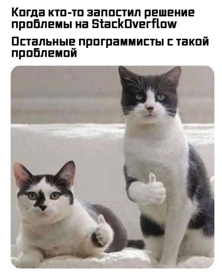 #IT
😂 Твой Пакет Мемов
🛍 Другие каналы | Сетка — социальная сеть от hh.ru