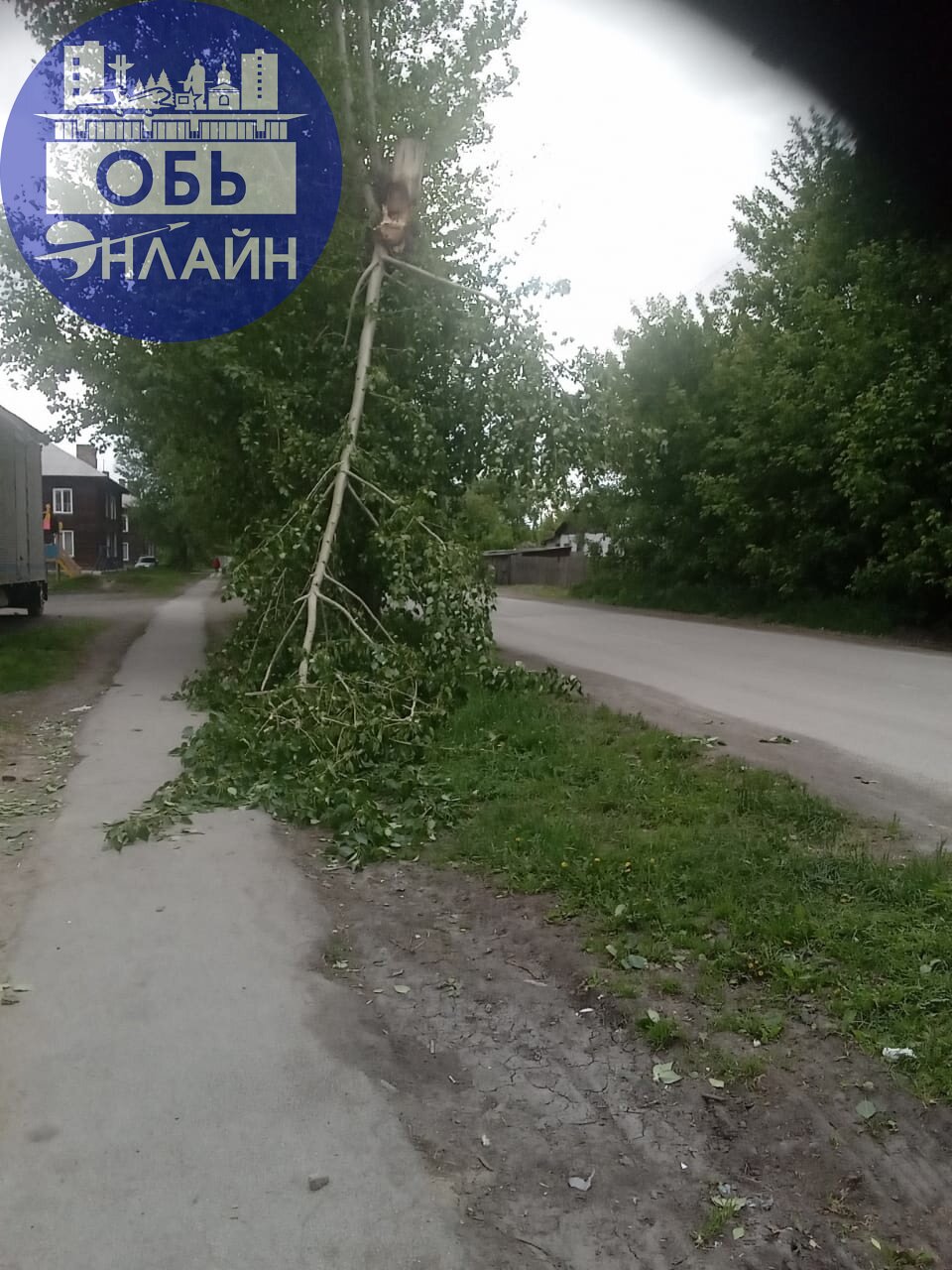 ↗ На Шевченко упала ветка. Будьте осторожны.
vk.com
Подробнее на https://vk.com/ob.gorod
#городобь #городобьонлайн #толмачево | Сетка — социальная сеть от hh.ru