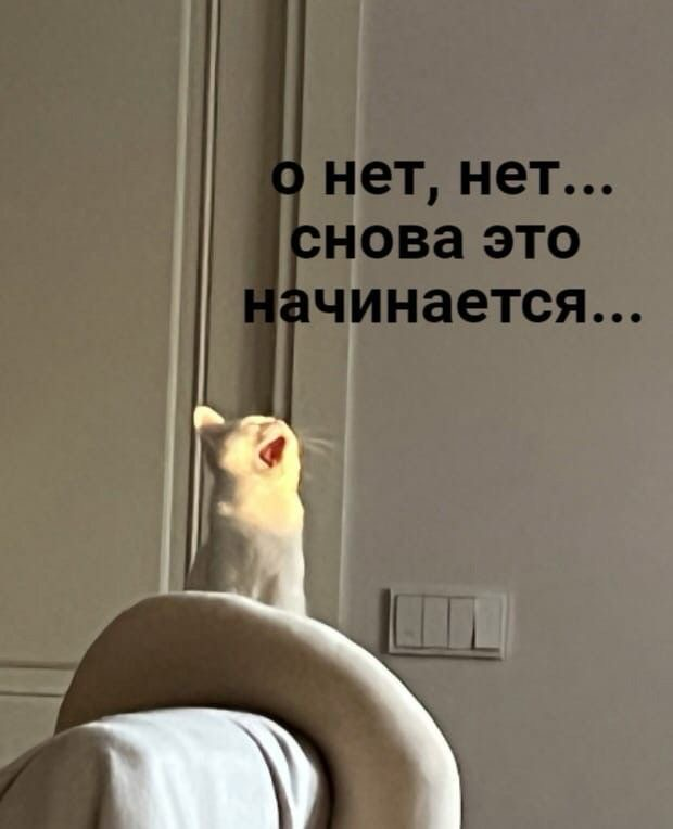 Почему взрослые люди превращаются в школьников на планёрках? | Сетка — социальная сеть от hh.ru