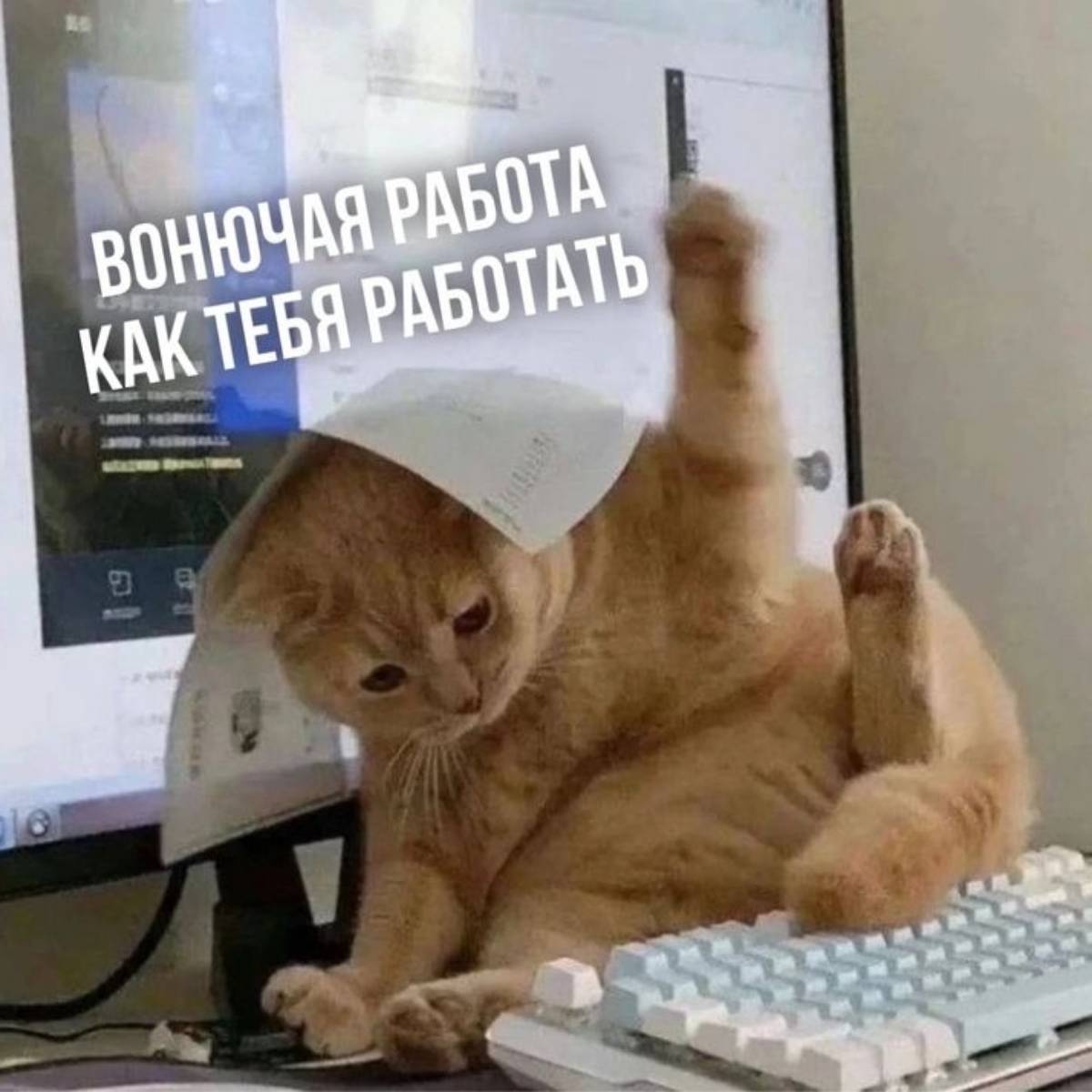 Надежда Кузнецова | Сетка — социальная сеть от hh.ru