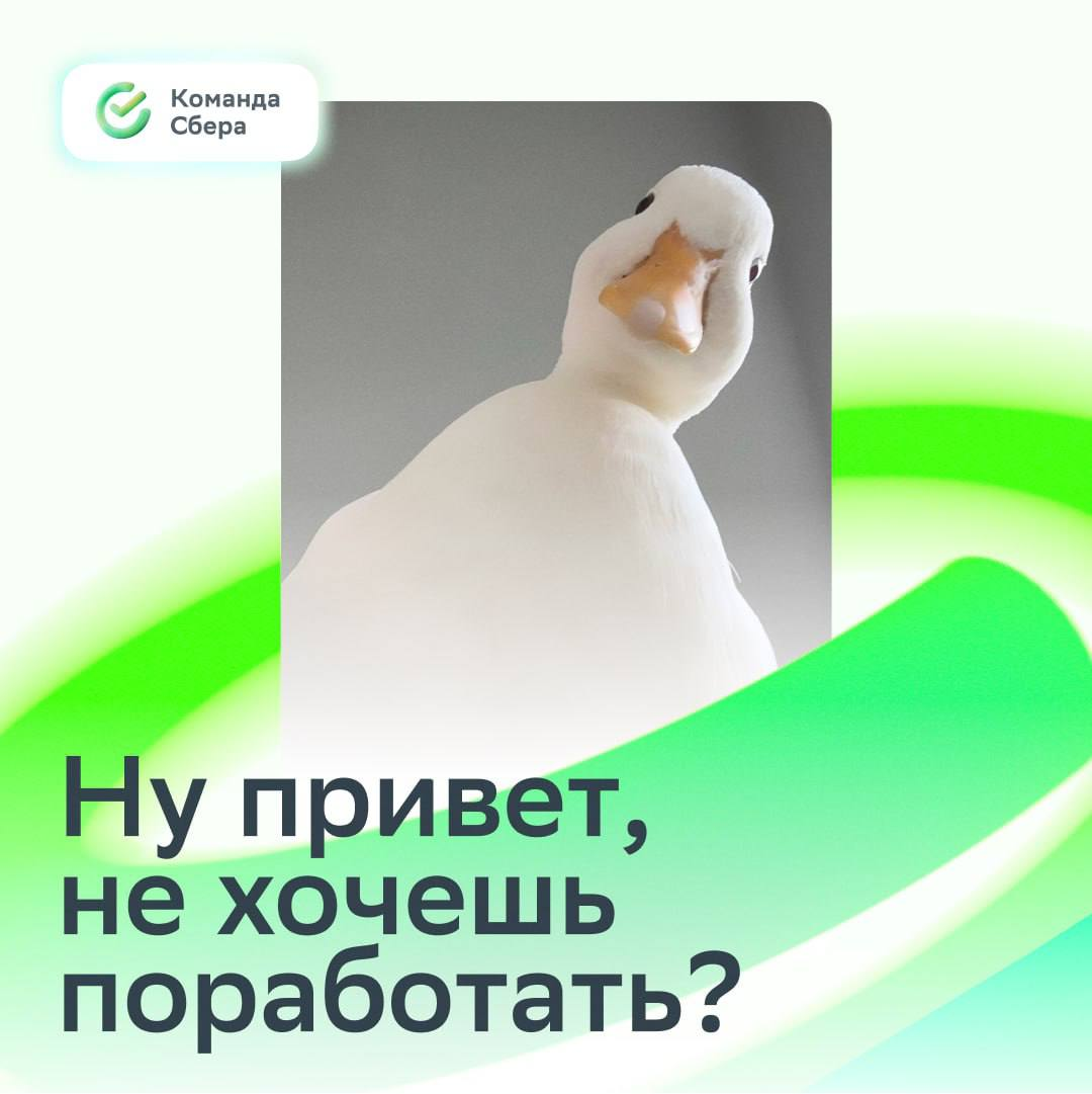 Прислушайся к уточке и откликнись на вакансии 🦆
🟢 Старший юрист (синдицированное кредитование): https://s.sber.ru/rX8CZX
🟢Руководитель направления по методологии управленческого учёта: https://s.sber | Сетка — социальная сеть от hh.ru