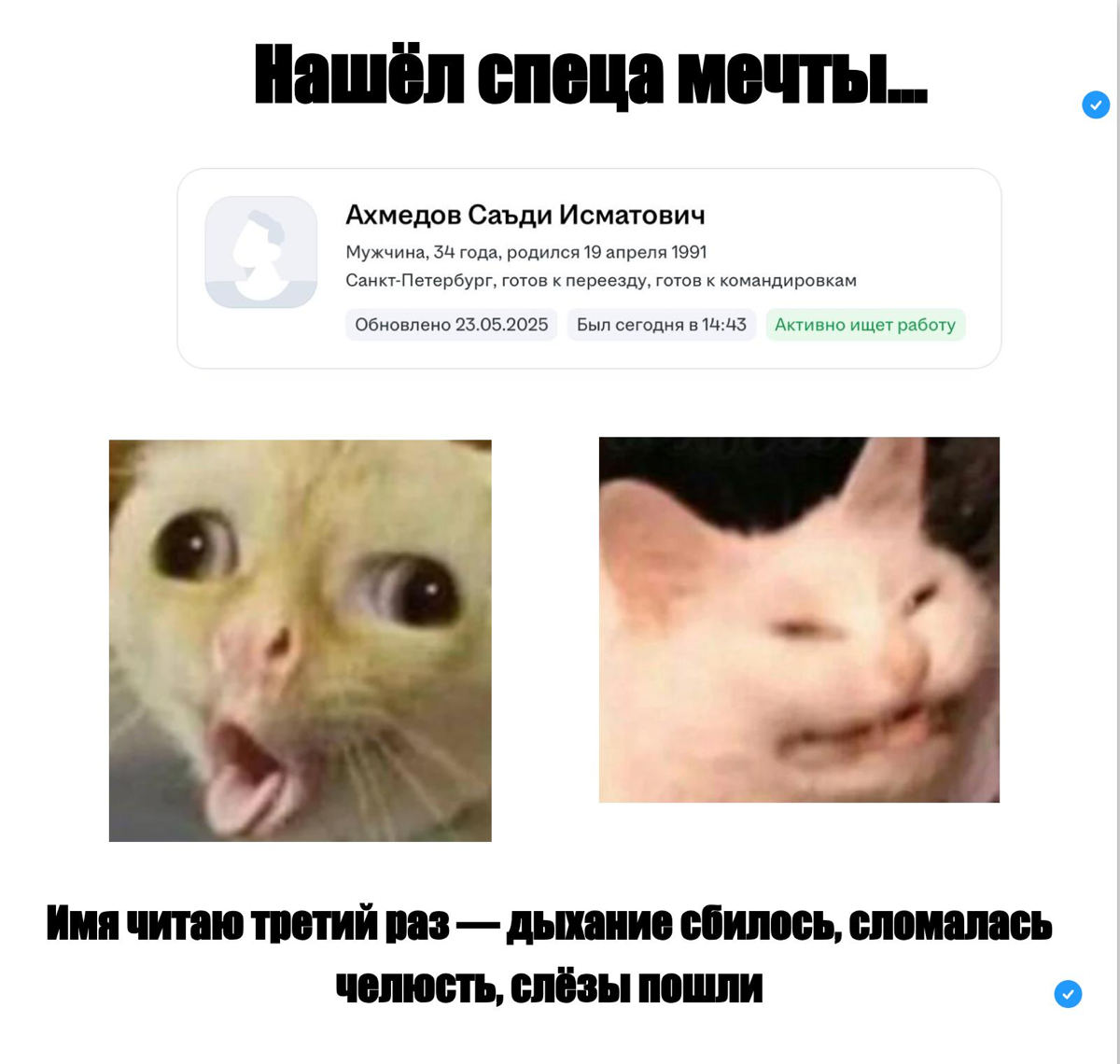 Рассказываю из жизни 😅
Одна из девчонок из моей команды ведёт сейчас очень интересную позицию — рынок пустой, каждый кандидат на вес золота.
Нашли резюме… открываем… Ахмедов Саъди Исматович | Сетка — социальная сеть от hh.ru