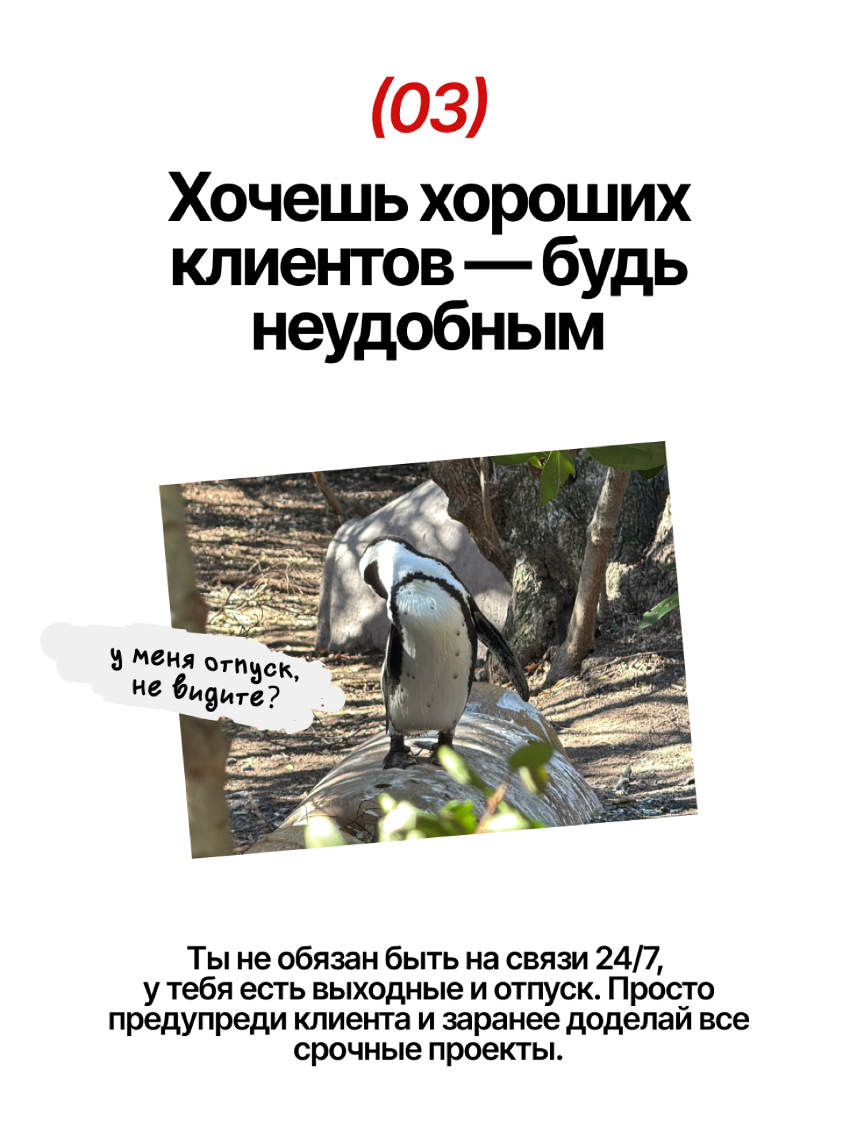 Пост поддержки для начинающего дизайнера | Сетка — социальная сеть от hh.ru