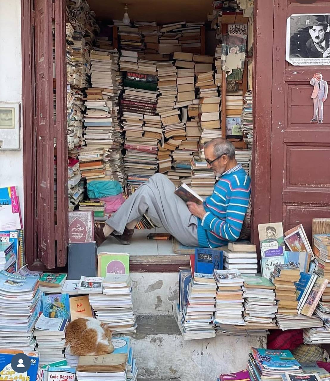 те, кто не умеет читать, не воруют книги, а те, кто умеет читать, не воры
На днях прочитала историю самого долгого книготорговца в Рабате, Марокко. И она меня как-то тронула | Сетка — социальная сеть от hh.ru