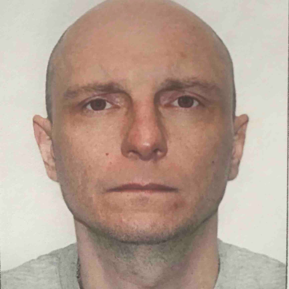 Артем Гузанов | Сетка — социальная сеть от hh.ru