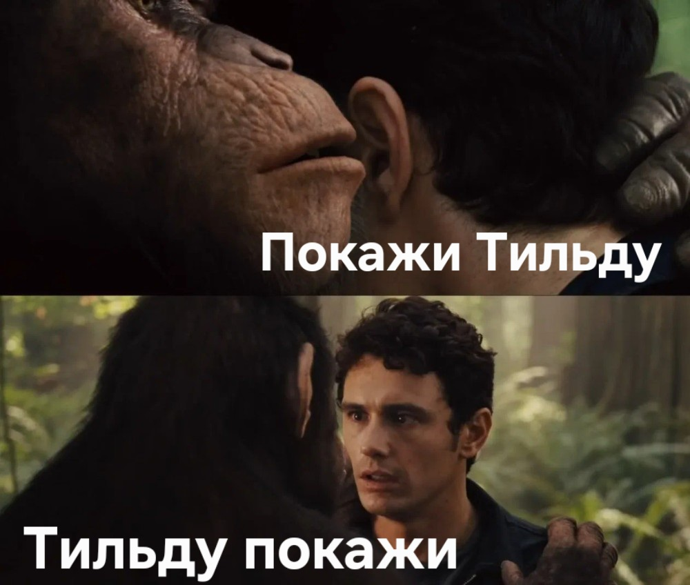 💣 БОМБАНУЛО! 
🤔 А ВЫ БЫ ПОШЛИ НА ЭТО СНОВА? 🤔 | Сетка — социальная сеть от hh.ru